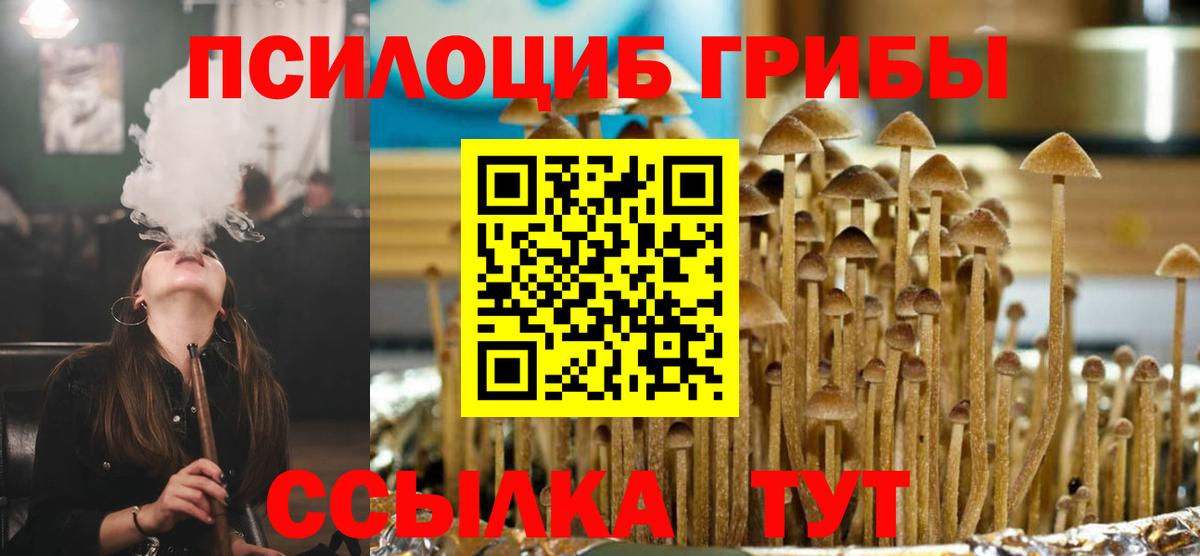 Псилоцибиновые грибы мицелий Менделеевск